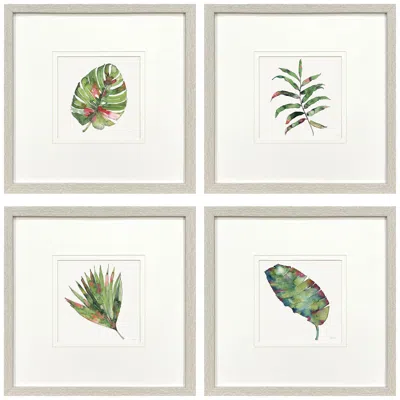 Paragon Palm Springs Leaves 17"w X 17"h Framed Art - Set Of 4