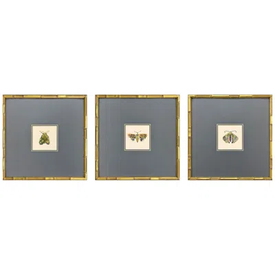 Paragon Pastel Moths Ii 17"w X 17"h Framed Art Set Of 3