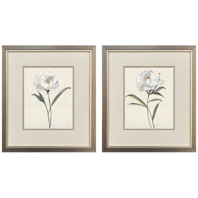 Paragon Peony Grand 14"w X 16"h Framed Art - Set Of 2 In Gray