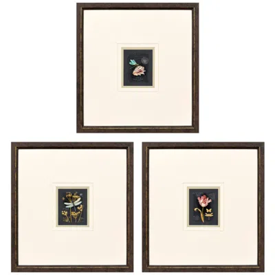 Paragon Petite Wonders I 16"w X 17"h Framed Art - Set Of 3 In Multi