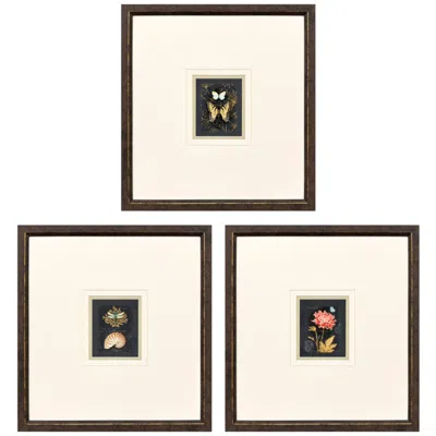 Paragon Petite Wonders Ii 16"w X 17"h Framed Art - Set Of 3 In Multi