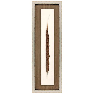 Paragon Pheasant Feather 30" Wide Framed Wall Art