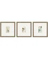 Paragon Picture Gallery Antique-like Botanical I Framed Art, Set Of 3 In Green