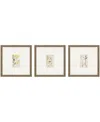 Paragon Picture Gallery Antique-like Botanical Ii Framed Art, Set Of 3 In Green