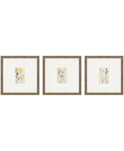 Paragon Picture Gallery Antique-like Botanical Ii Framed Art, Set Of 3 In Green