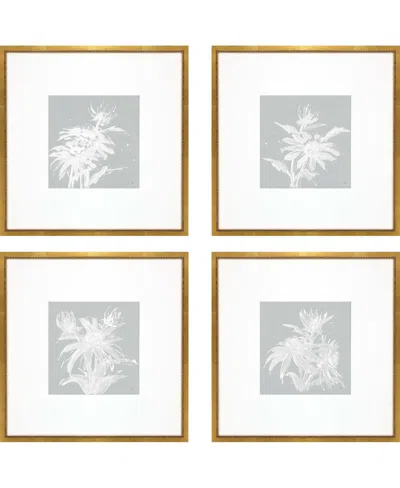 Paragon Picture Gallery Echinacea Framed Art, Set Of 4 In Blue