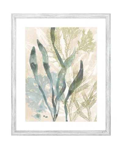 Paragon Picture Gallery Vintage-like Ocean Jewels Ii Framed Art In Blue