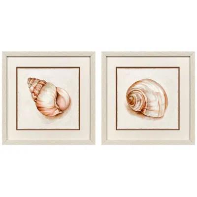 Paragon Pink Vintage Shell 17"w X 17"h Framed Art - Set Of 2 In Multi