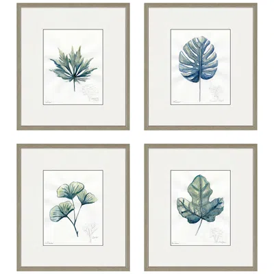 Paragon Plant Drawings 17" Wide 4-piece Framed Giclee Wall Art Set