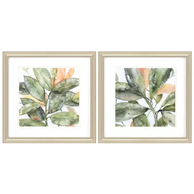 Paragon Plant Life 18"w X 18"h Framed Art Set Of 2 In Multi