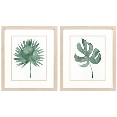 Paragon Plant Press Framed 17"w X 20"h Art Set Of 2
