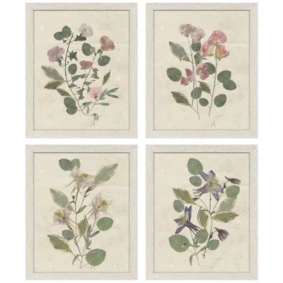 Paragon Pressed Arrangement 12"w X 15"h Framed Art Set Of 4