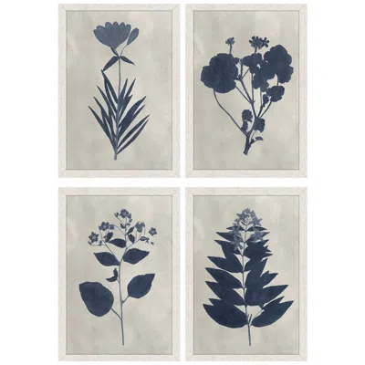 Paragon Pressed Flower I 13"w X 19"h Framed Art Set Of 4