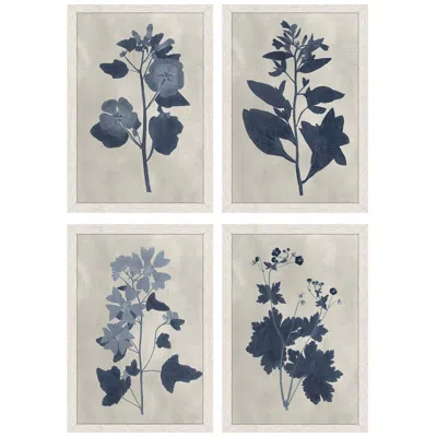 Paragon Pressed Flower Ii 13"w X 19"h Framed Art Set Of 4