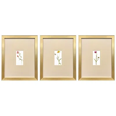 Paragon Pretty Florals I 14"w X 17"h Framed Wall Art Set Of 3