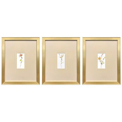 Paragon Pretty Florals Ii 14"w X 17"h Framed Wall Art Set Of 3