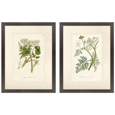 Paragon Queen's Lace I 20"w X 26"h Framed Wall Art Set Of 2