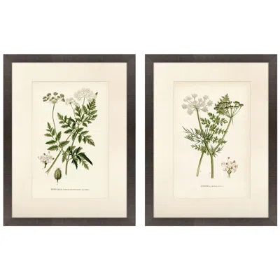 Paragon Queen's Lace Ii 20"w X 26"h Framed Wall Art Set Of 2