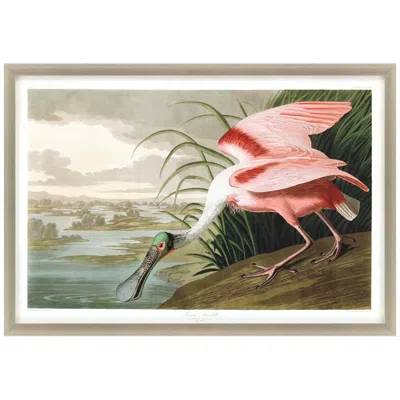 Paragon Roseate Spoonbill 48"w X 33"h Framed Art