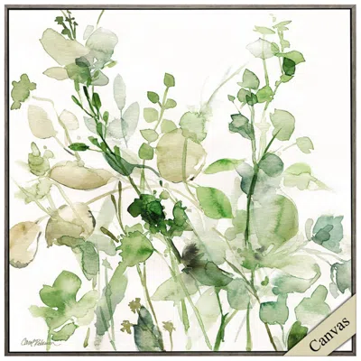 Paragon Sage Garden Ii 30" Square Stretched Framed Canvas Wall Art