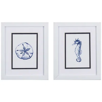 Paragon Sand Dollar Seahorse 9"w X 11"h Framed Art Set Of 2