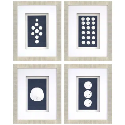 Paragon Sand Dollars 18"w X 23"h Framed Art Set Of 4