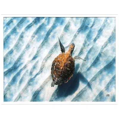Paragon Sandbar Sea Turtle 50"w X 38"h Coastal Framed Art