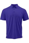 Paragon Saratoga Performance Mini Mesh Polo In Purple