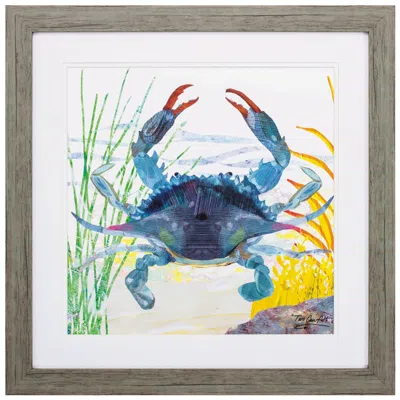 Paragon Sea Creature Crab 23"w X 23"h Framed Art In Green