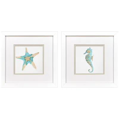 Paragon Sea Creatures I 11"w X 11"h Framed Art Set Of 2