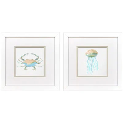 Paragon Sea Creatures Ii 11"w X 11"h Framed Art Set Of 2