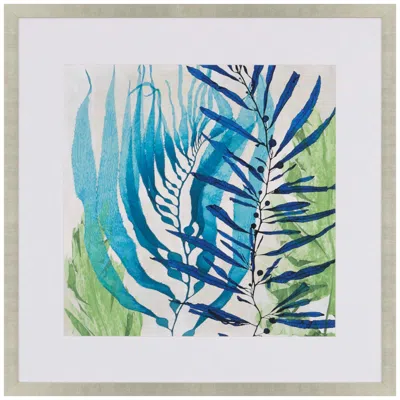 Paragon Sea Nature I 41"w X 41"h Framed Art In Multi