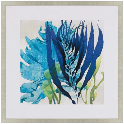 Paragon Sea Nature Ii 41"w X 41"h Framed Art In Blue