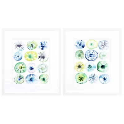 Paragon Sea Urchin Assortment 17"w X 20"h Framed Art Set Of 2