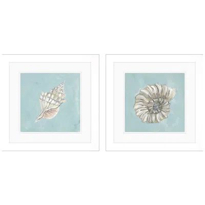 Paragon Seashell A 19"w X 19"h Framed Art Set Of 2 In Blue