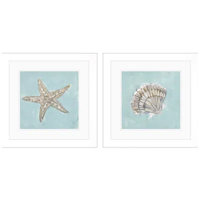 Paragon Seashell B 19"w X 19"h Framed Art Set Of 2