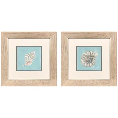 Paragon Seashells 13"w X 13"h Framed Art - Set Of 2 In Multi
