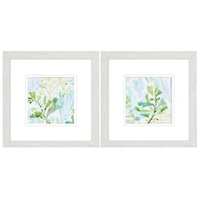 Paragon Seaweed Scramble 11"w X 11"h Framed Art Set Of 2