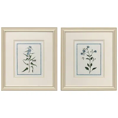 Paragon Shabby Chic Botanical 15"w X 17"h Traditional Framed Art Set Of 2
