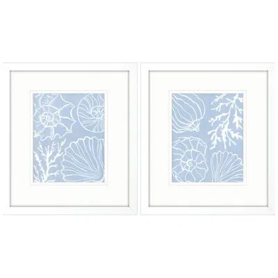 Paragon Shell Silhouettes 14"w X 16"h Framed Art Set Of 2