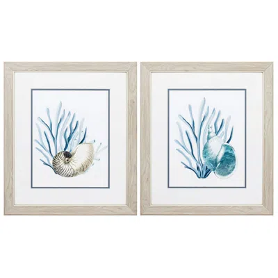 Paragon Shells & Seaweeds 19"w X 22"h Framed Art Set Of 2