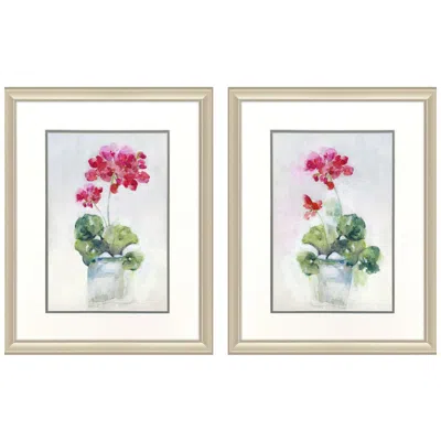 Paragon Soft Geranium 20"w X 26"h Framed Art - Set Of 2