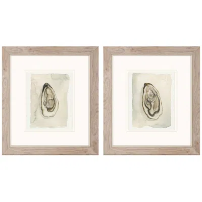 Paragon Soft Half Shell 16"w X 18"h Framed Art Set Of 2