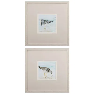 Paragon Spotted Sandpiper 19"w X 19"h Framed Art Set Of 2