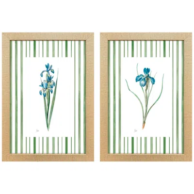 Paragon Spring Iris 14"w X 20"h Framed Art - Set Of 2 In Multi