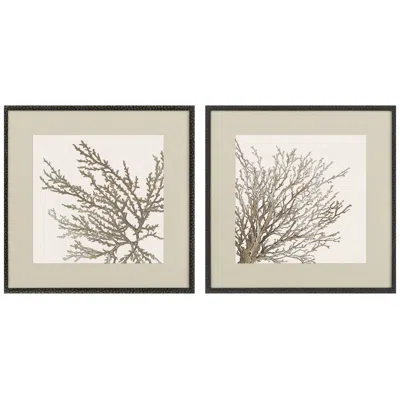 Paragon Taupe Coral 26"w X 26"h Framed Art Set Of 2