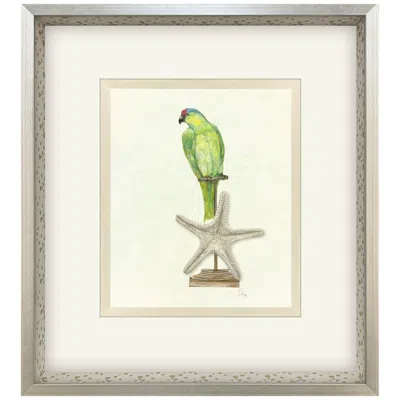 Paragon Treasure Parrot Ii 23"w X 26"h Framed Art