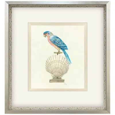 Paragon Treasure Parrot Iv 23"w X 26"h Framed Art