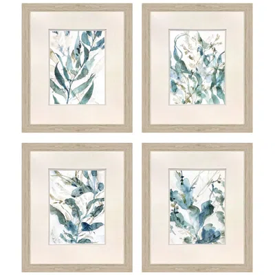 Paragon Underwater Botany 23"w X 27"h Framed Wall Art Set Of 4