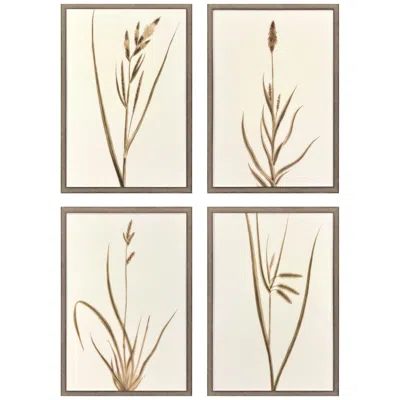 Paragon Varying Grasses 17"w X 25"h Framed Art Set Of 4